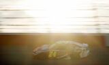 All the images as Hendrick Motorsports completes the Southern 500 at Darlington Raceway